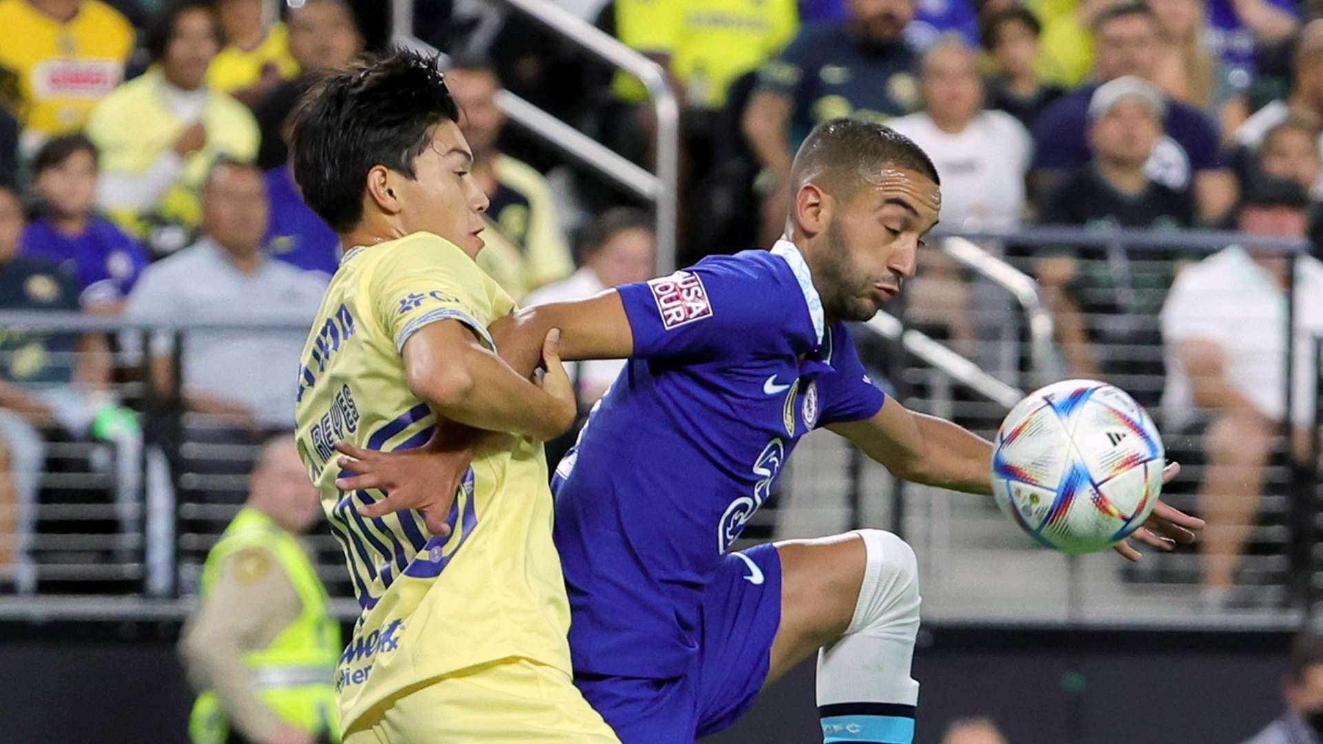 性的训练 性的训练